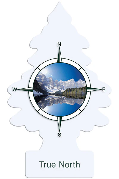 Little Trees Air Freshener