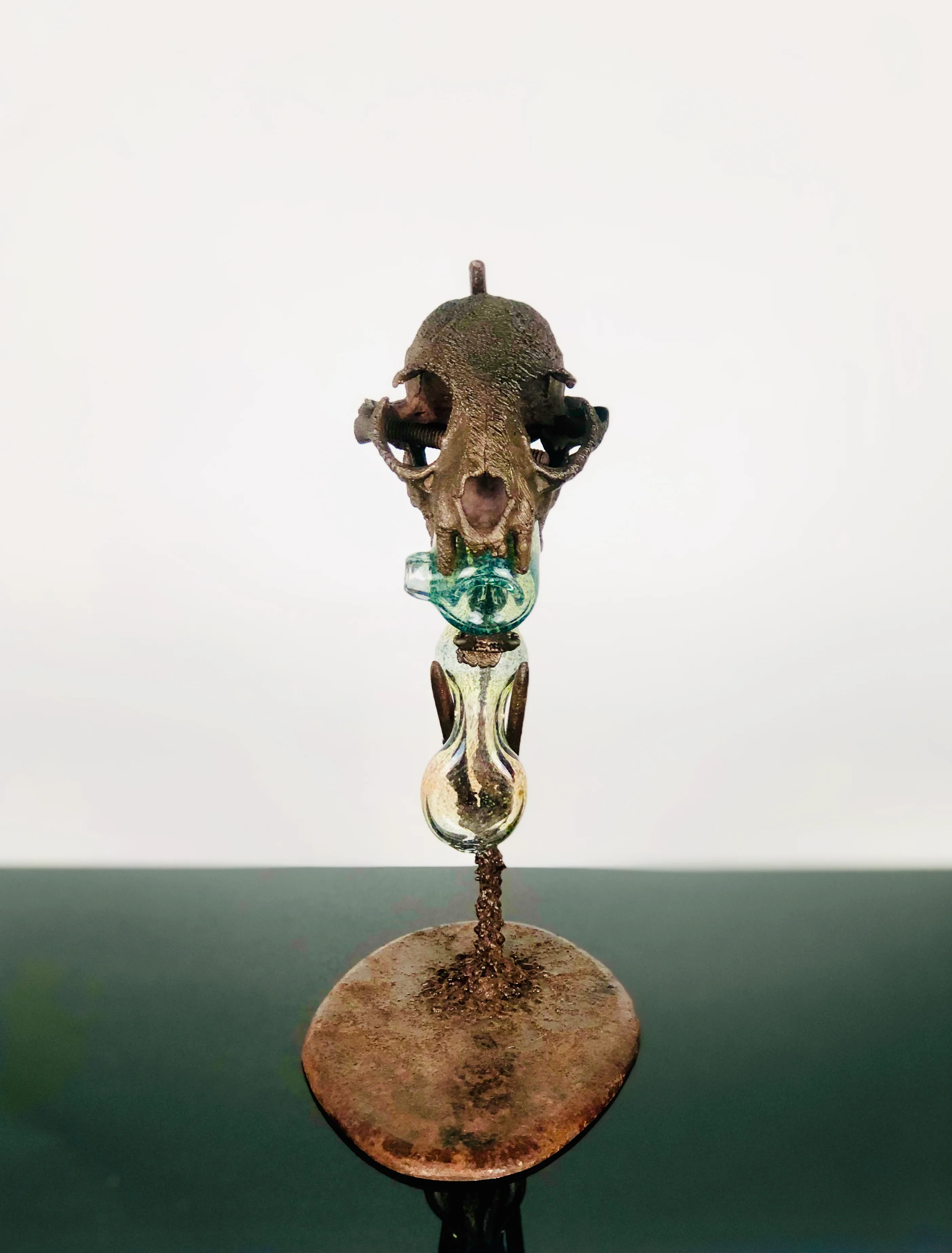 Troy Bennett x Dave Park Genuine Bobcat skull electroformed sherlock - Image 2