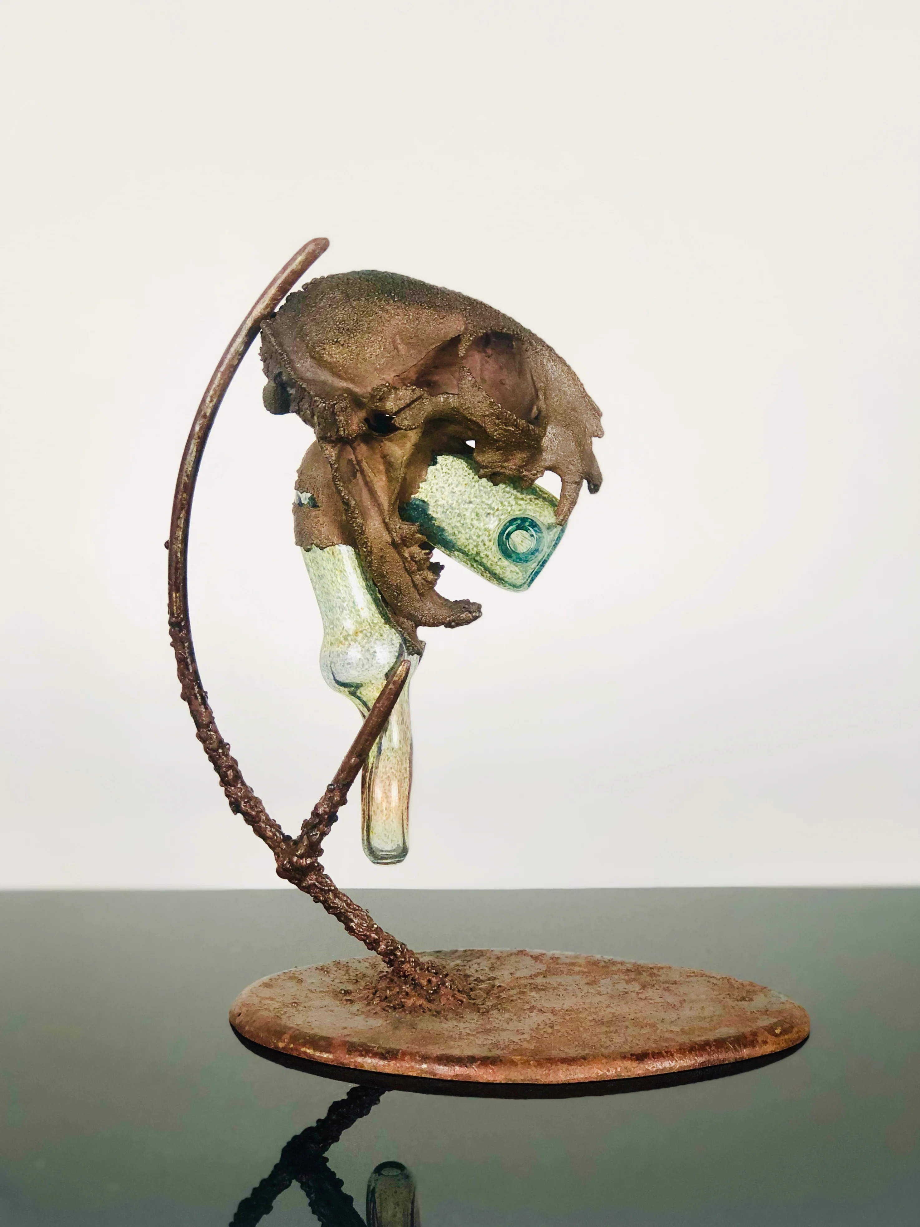Troy Bennett x Dave Park Genuine Bobcat skull electroformed sherlock - Image 3